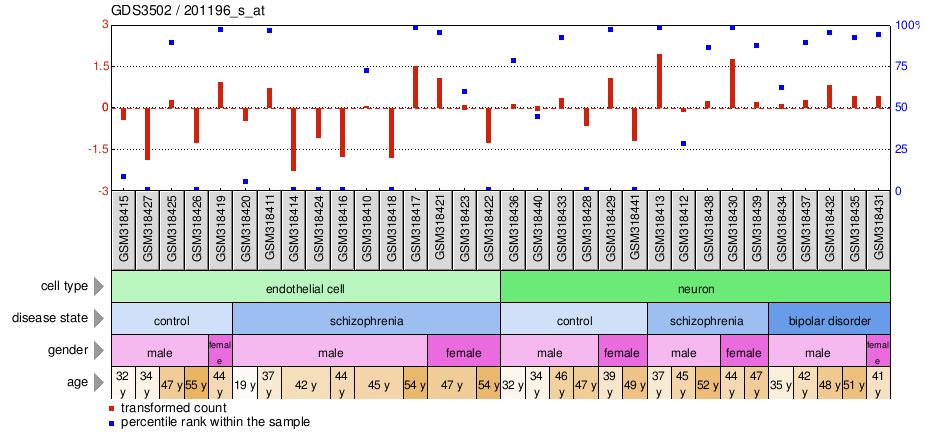 Gene Expression Profile