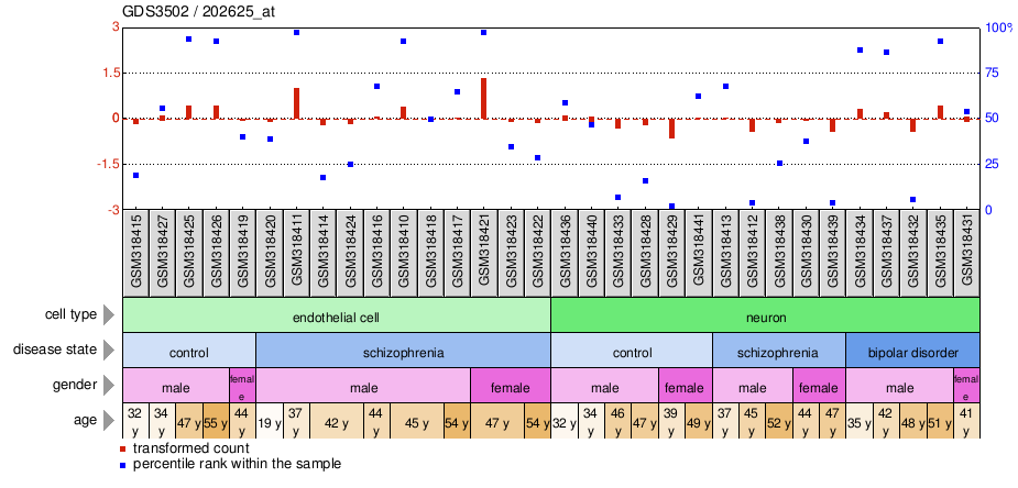 Gene Expression Profile