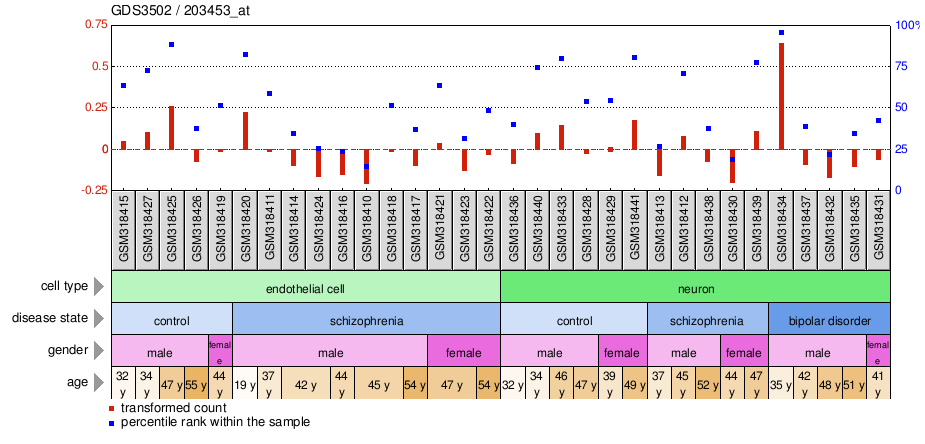 Gene Expression Profile