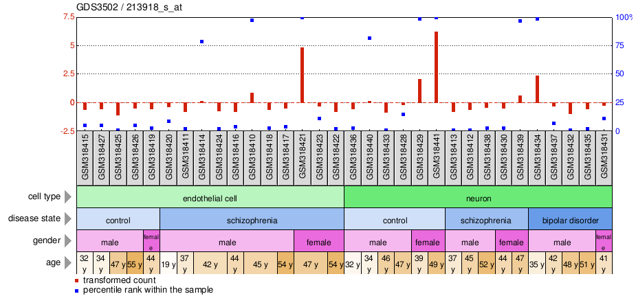 Gene Expression Profile