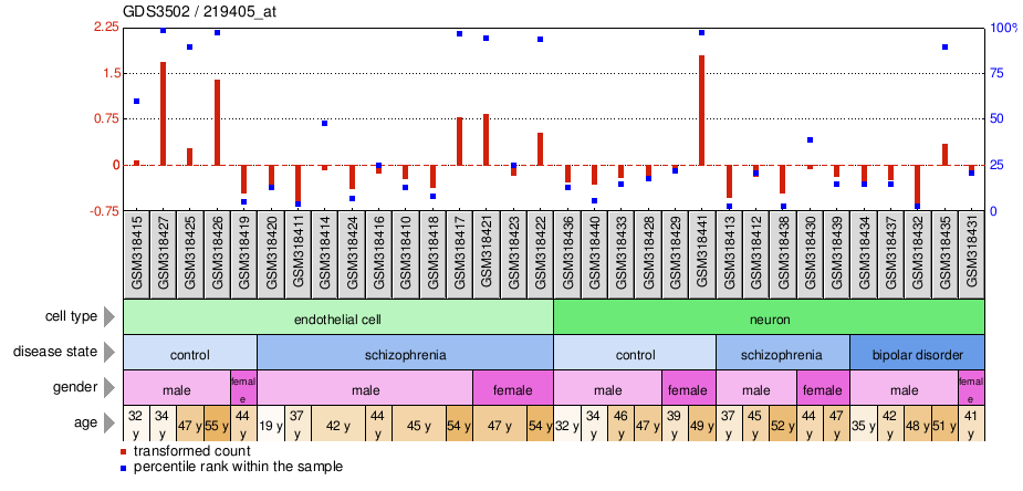 Gene Expression Profile