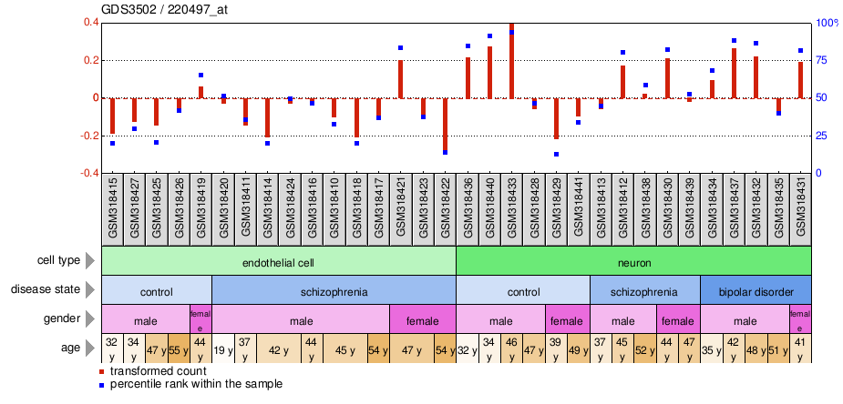 Gene Expression Profile