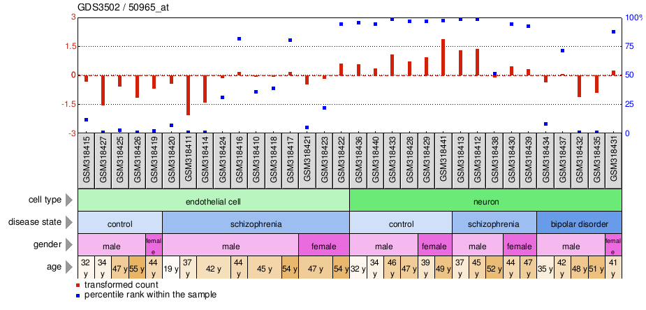 Gene Expression Profile