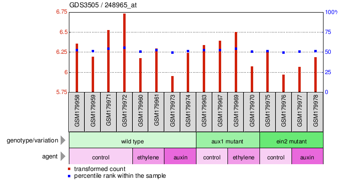 Gene Expression Profile