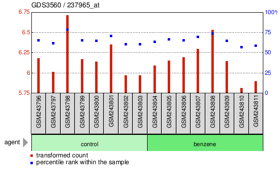 Gene Expression Profile