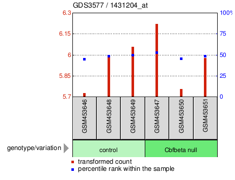 Gene Expression Profile