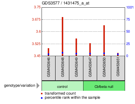 Gene Expression Profile