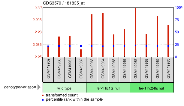 Gene Expression Profile