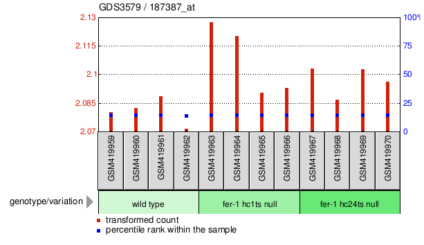 Gene Expression Profile