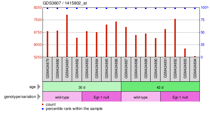 Gene Expression Profile