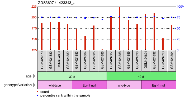 Gene Expression Profile