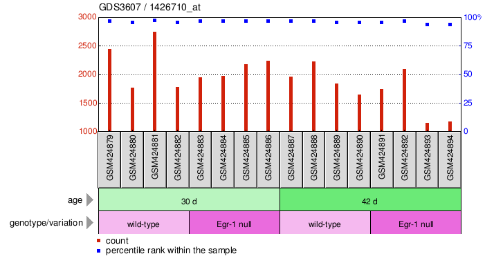 Gene Expression Profile