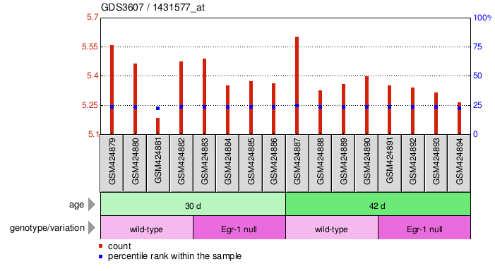 Gene Expression Profile