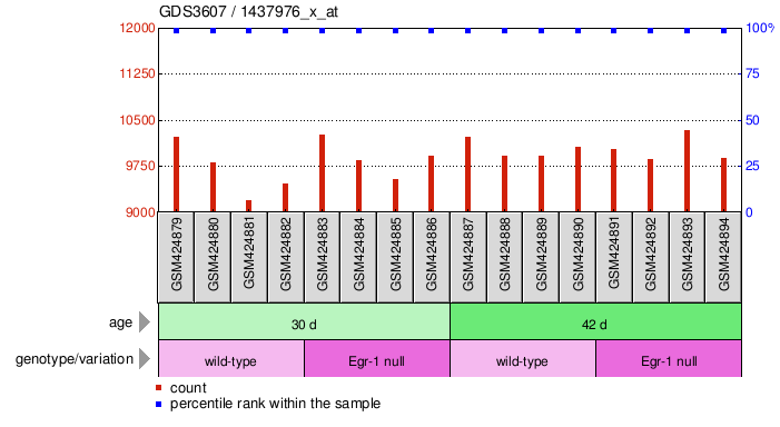 Gene Expression Profile