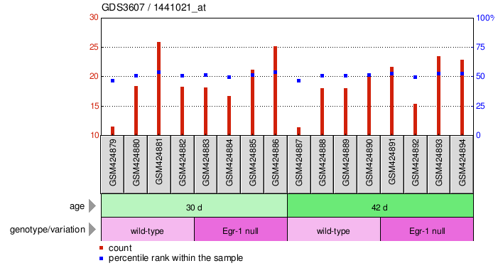 Gene Expression Profile