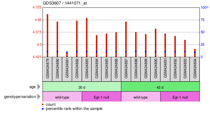 Gene Expression Profile