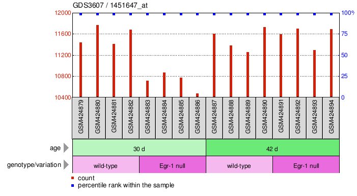 Gene Expression Profile