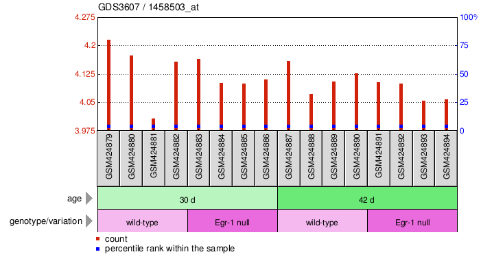 Gene Expression Profile