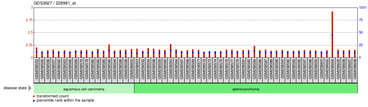 Gene Expression Profile