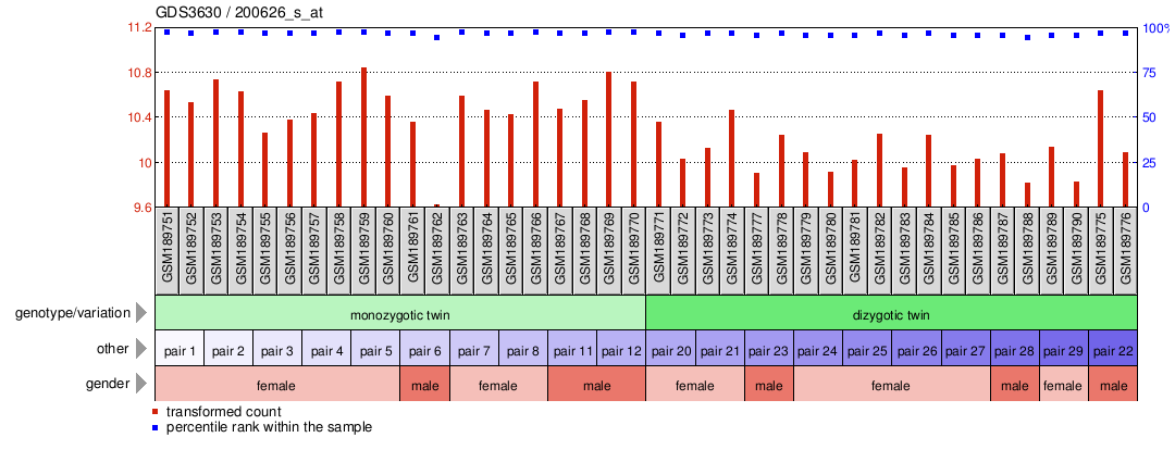 Gene Expression Profile