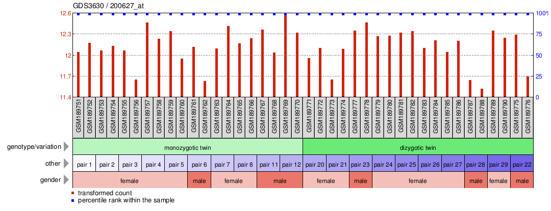 Gene Expression Profile