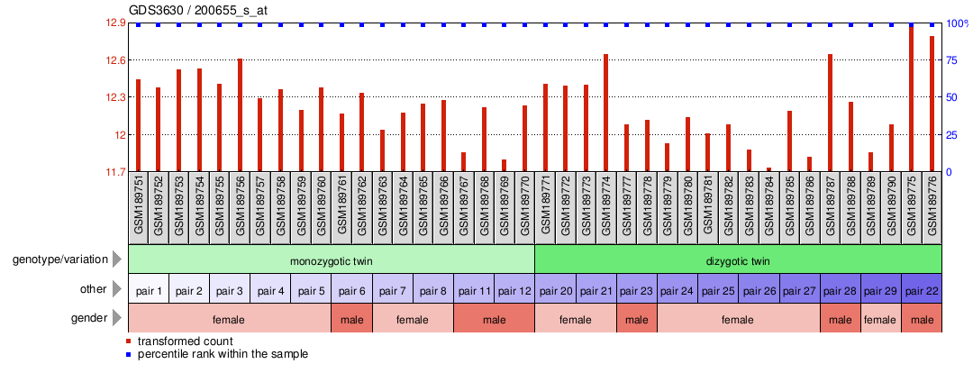 Gene Expression Profile