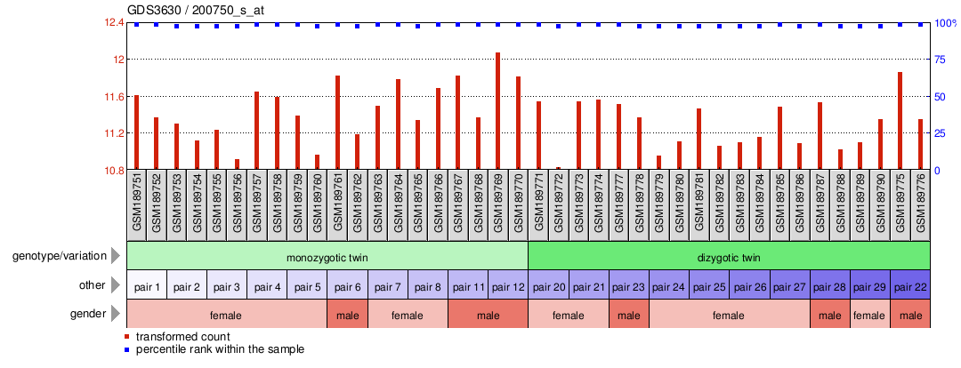 Gene Expression Profile