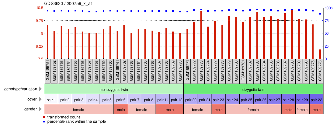 Gene Expression Profile