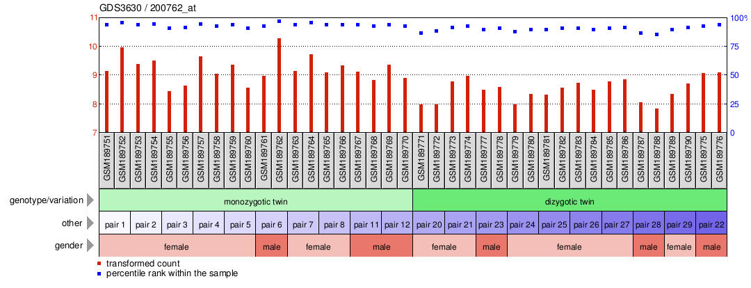 Gene Expression Profile