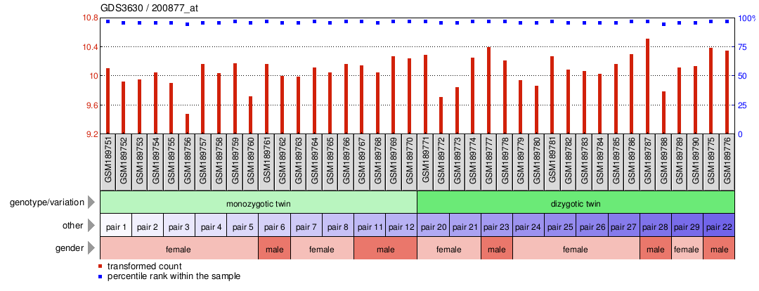 Gene Expression Profile