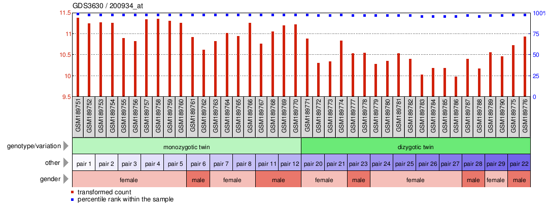 Gene Expression Profile