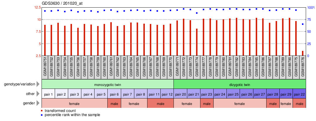 Gene Expression Profile