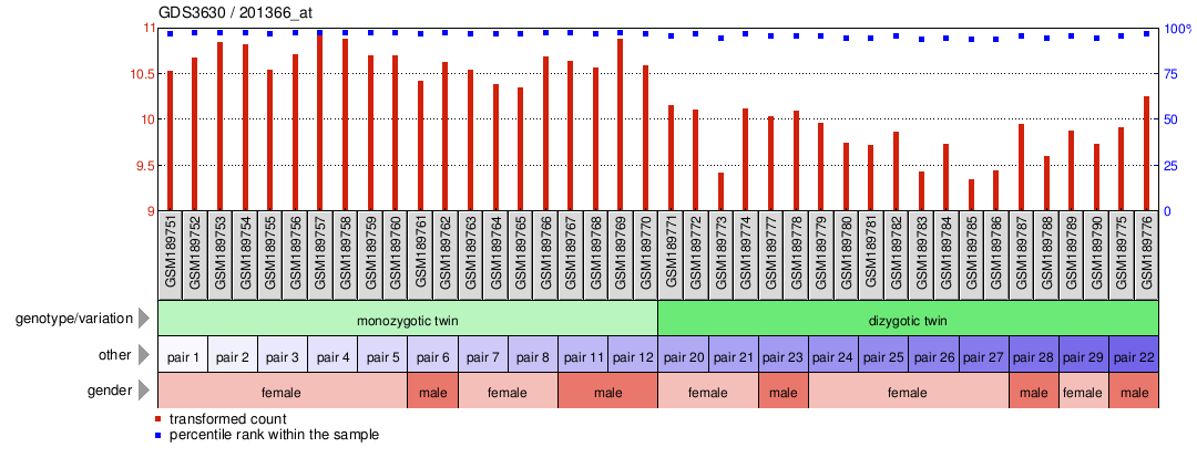 Gene Expression Profile