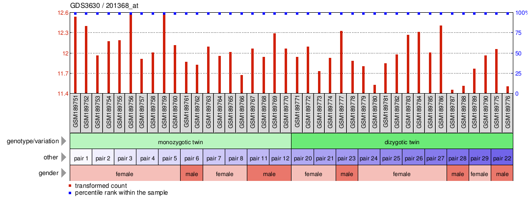 Gene Expression Profile