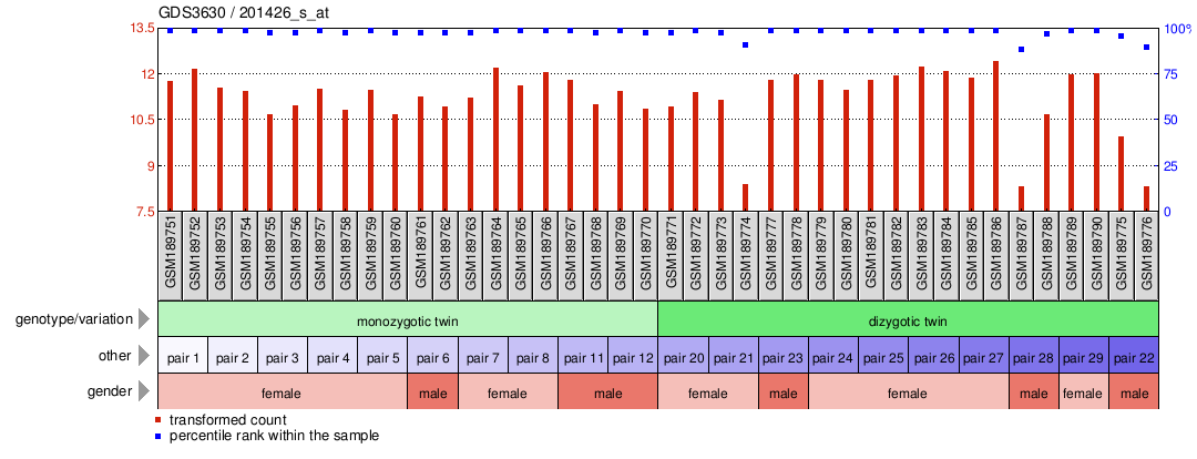 Gene Expression Profile