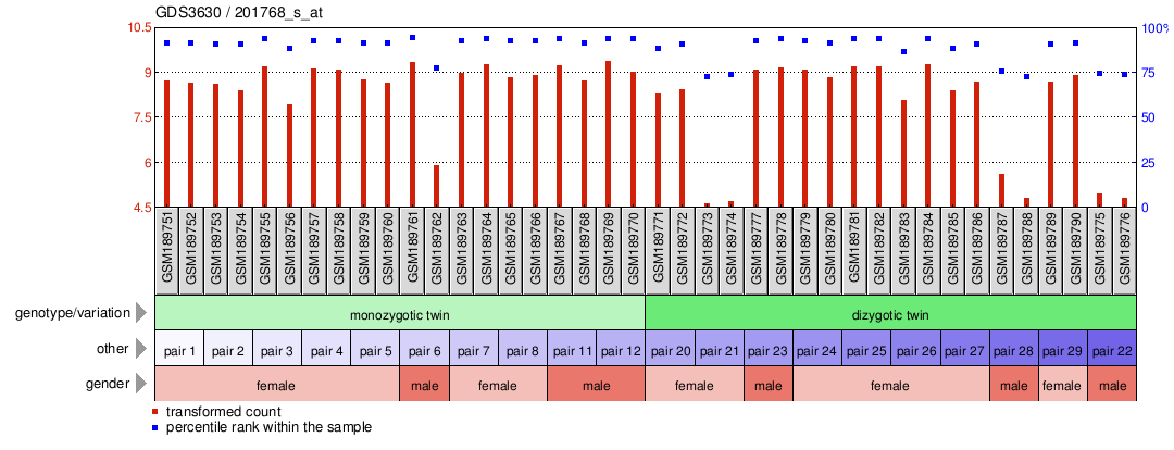 Gene Expression Profile