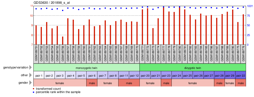 Gene Expression Profile