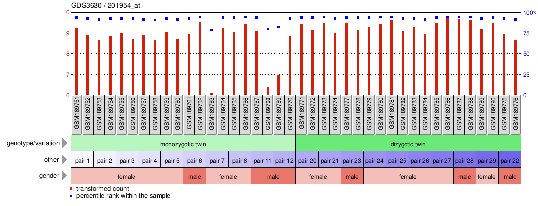 Gene Expression Profile