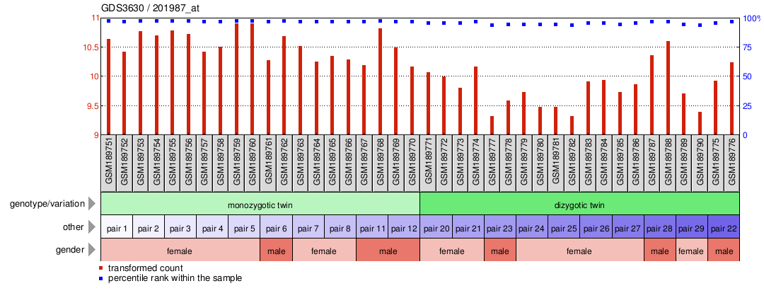 Gene Expression Profile