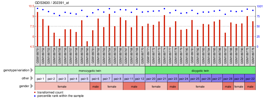 Gene Expression Profile