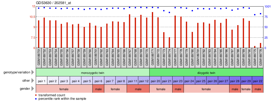 Gene Expression Profile