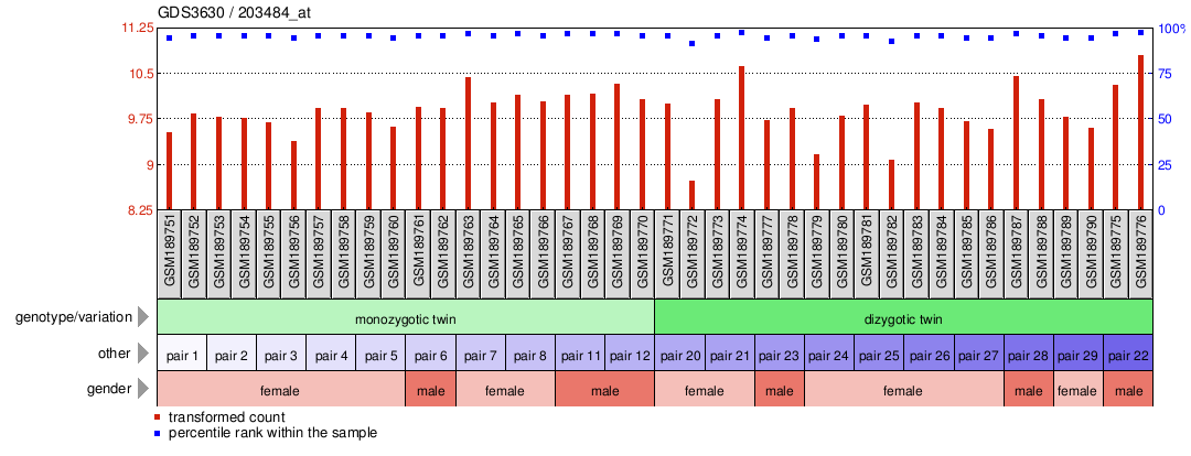 Gene Expression Profile