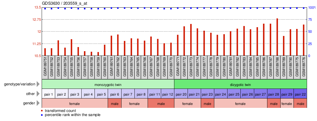 Gene Expression Profile