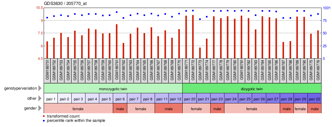 Gene Expression Profile