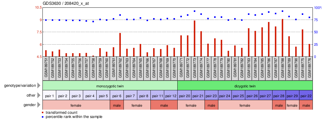 Gene Expression Profile