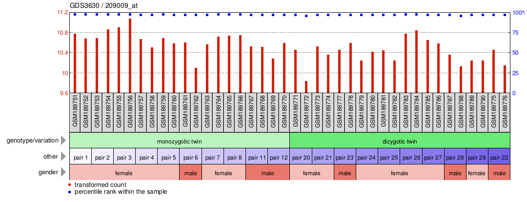 Gene Expression Profile