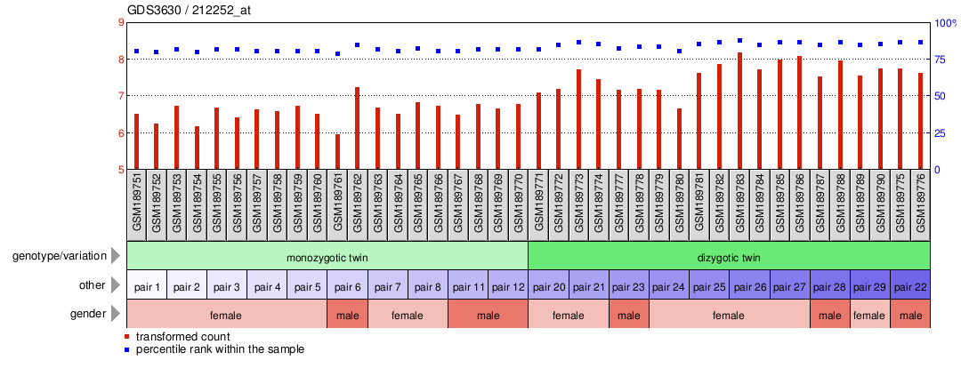 Gene Expression Profile