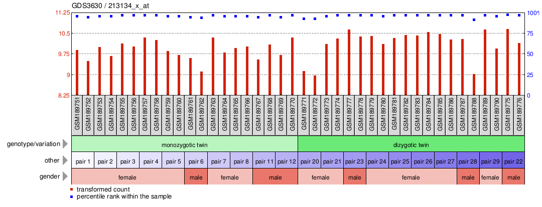 Gene Expression Profile