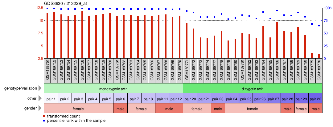 Gene Expression Profile