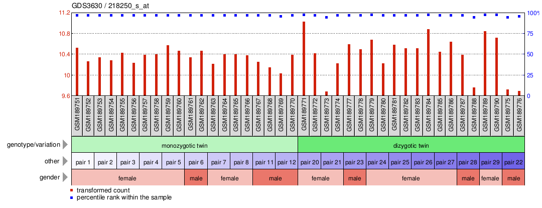 Gene Expression Profile